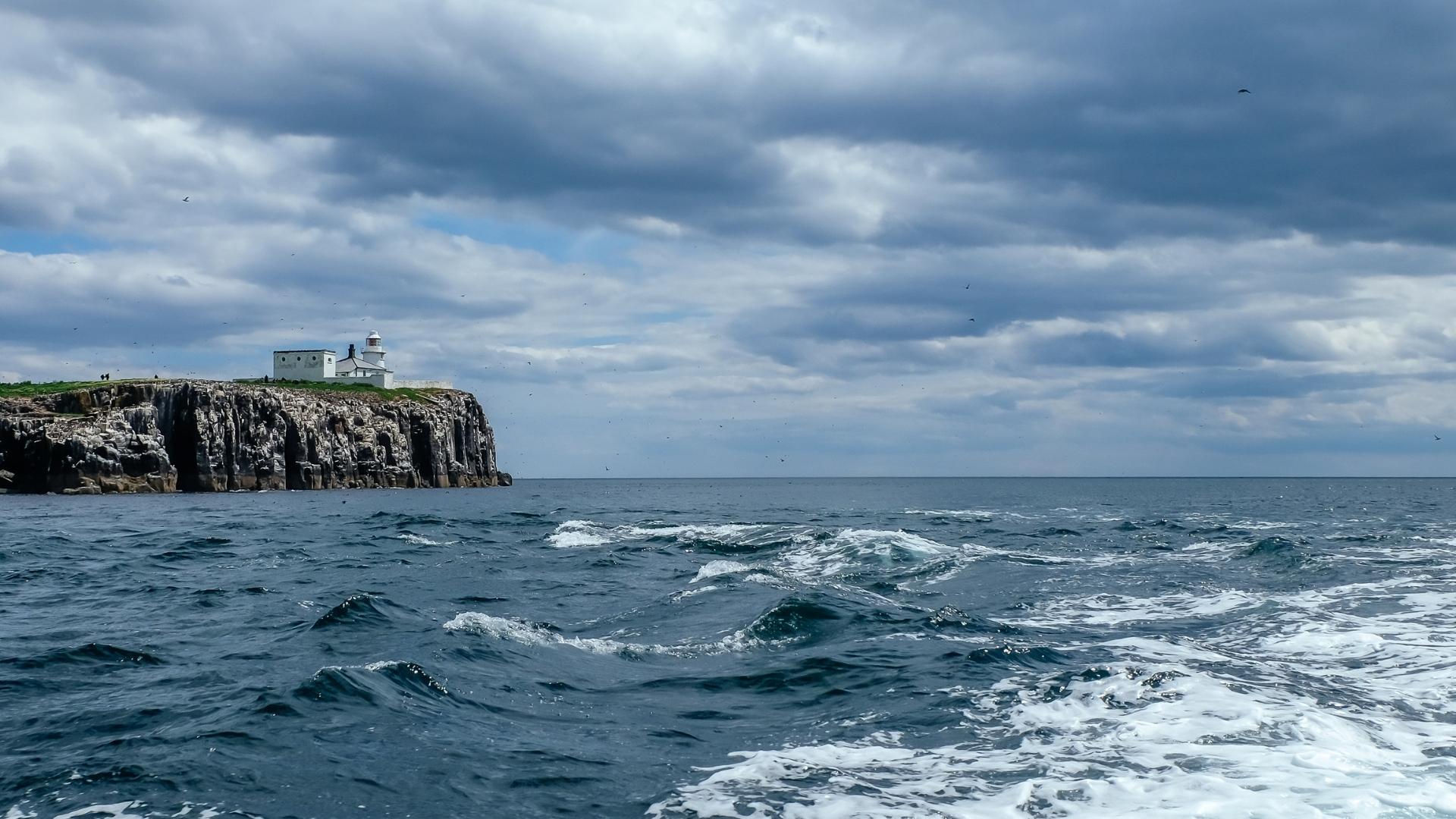 Farne Islands